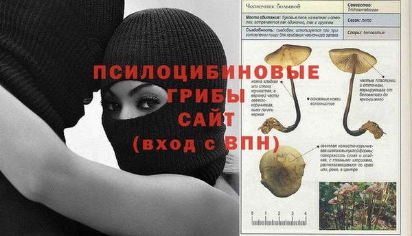 гидропоника Дмитриев