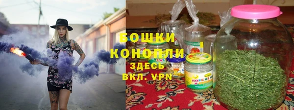 хмурый Дмитров